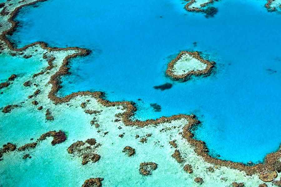 Hélicoptère Whitsunday Islands