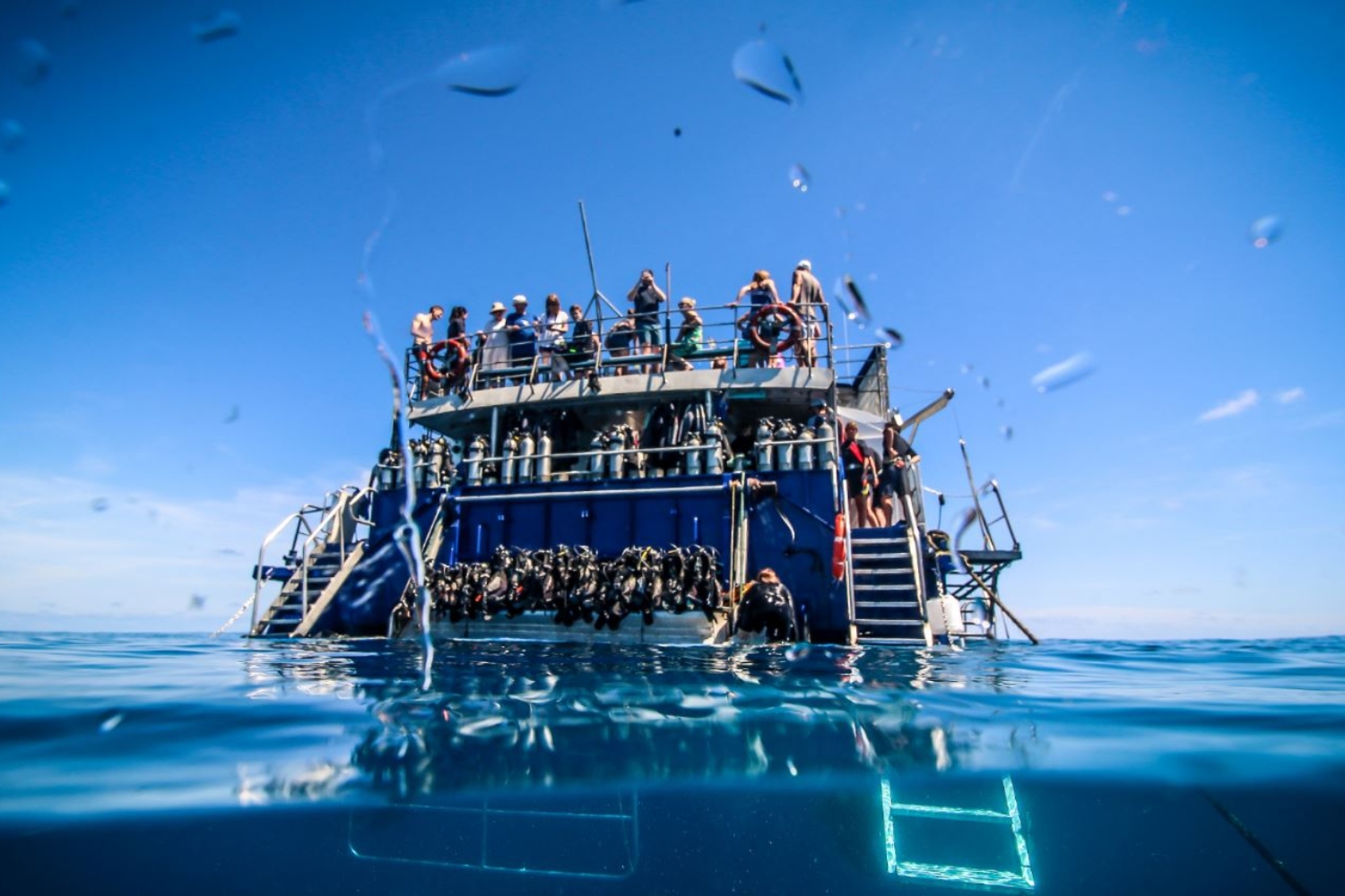 Excursion plongeurs grande barriere